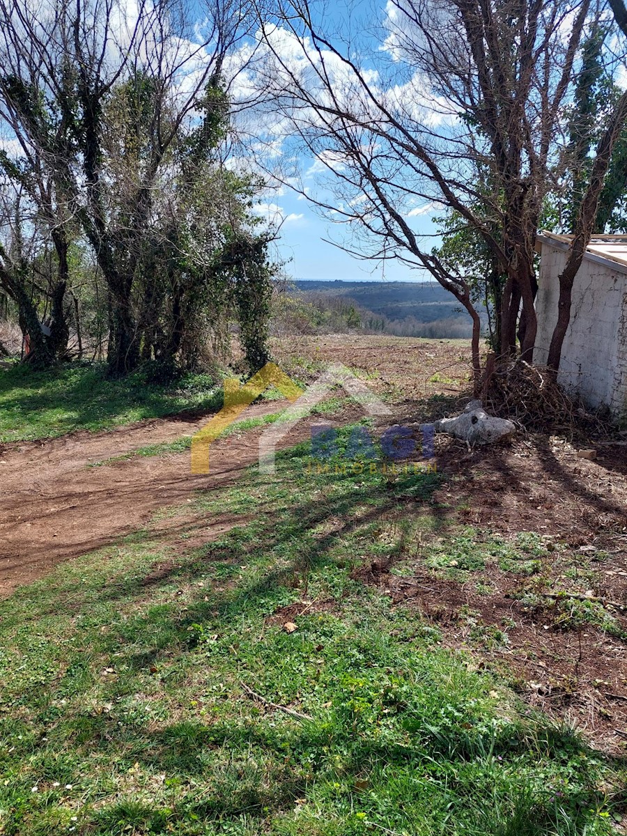 Pozemok Na predaj - ISTARSKA BARBAN