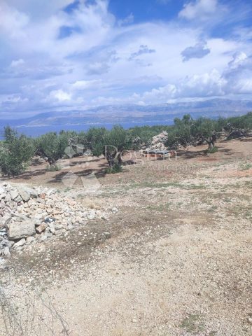 Terrain à vendre 9100 m² – Supetar
