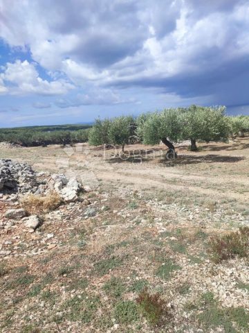 Land For sale - Splitsko-dalmatinska Brač - foto 2/2