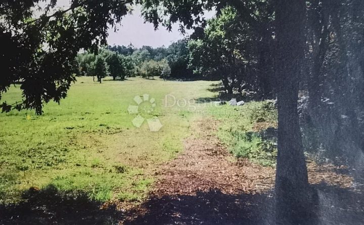 Land for sale 29464 m² – Žbandaj