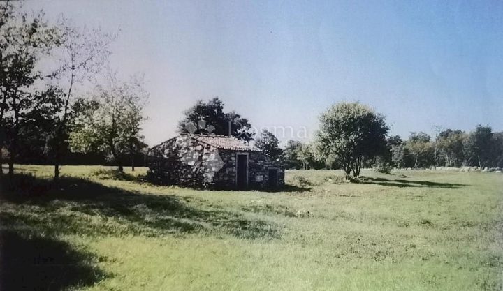 Grundstück Zu verkaufen - Istarska Poreč - foto 2/3