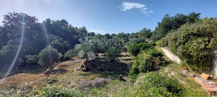 Zemljište na prodaju 1815 m² – Palit