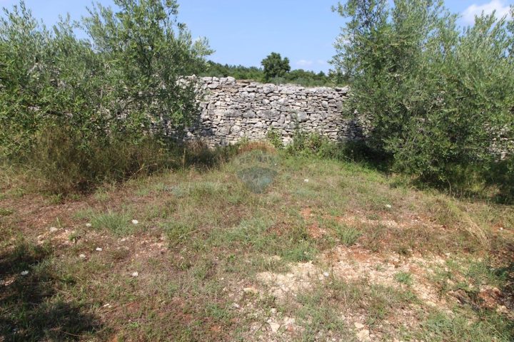 Pozemek Na prodej - Istarska Vodnjan - foto 3/8