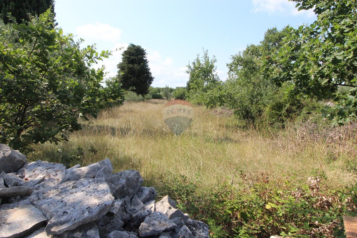 Parcela Naprodaj - ISTARSKA Vodnjan