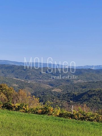 Land for sale 2500 m² – Pazin
