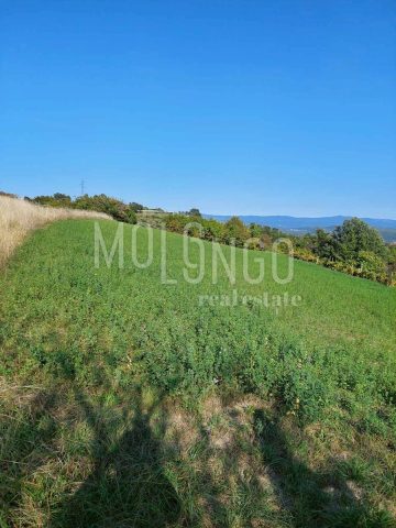 Land For sale - Istarska Pazin - foto 5/6
