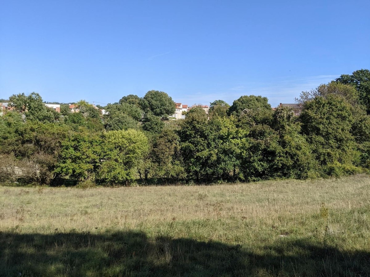Pozemok Na predaj - ISTARSKA SVETVINČENAT