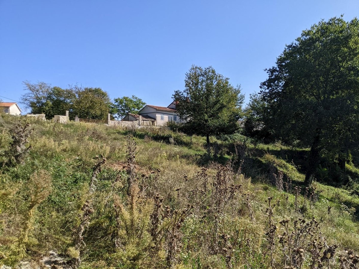Pozemok Na predaj - ISTARSKA SVETVINČENAT