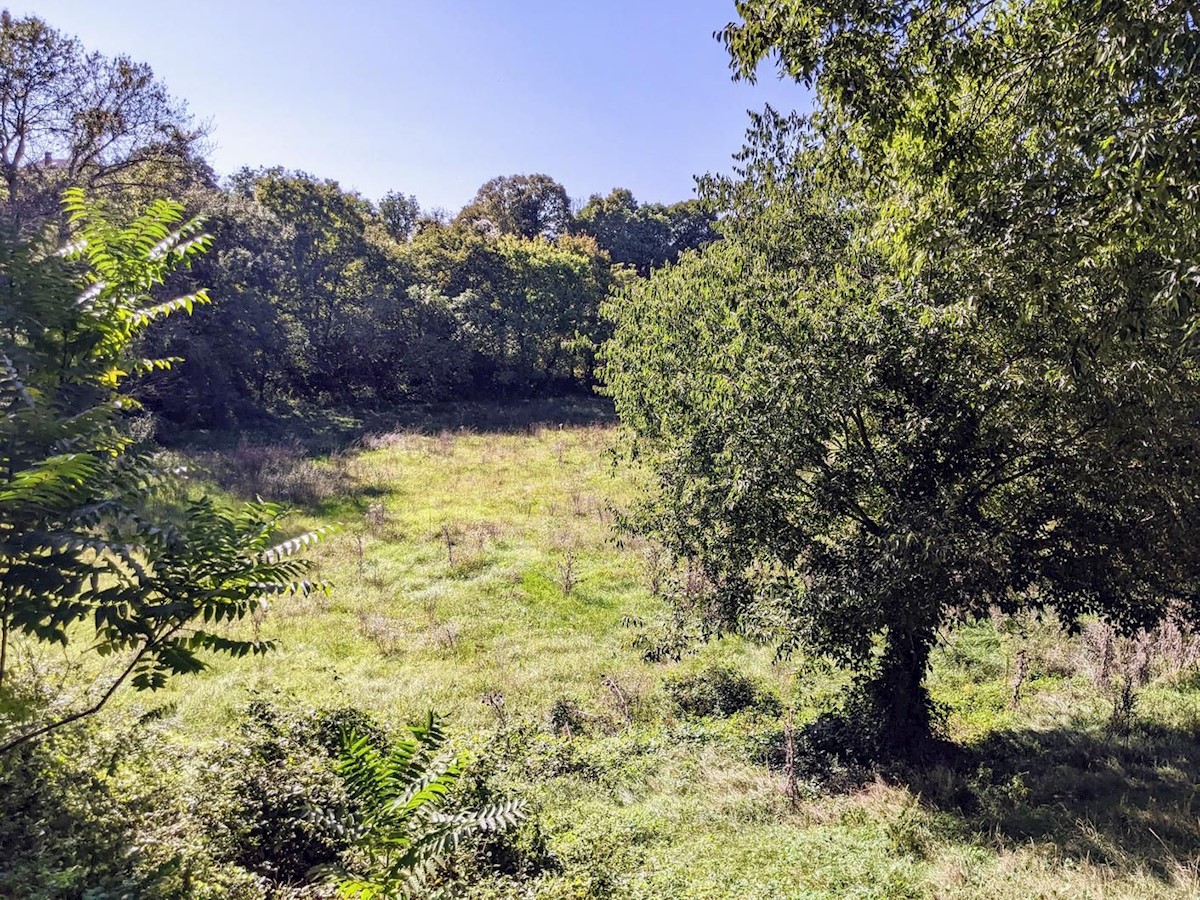 Pozemok Na predaj - ISTARSKA SVETVINČENAT
