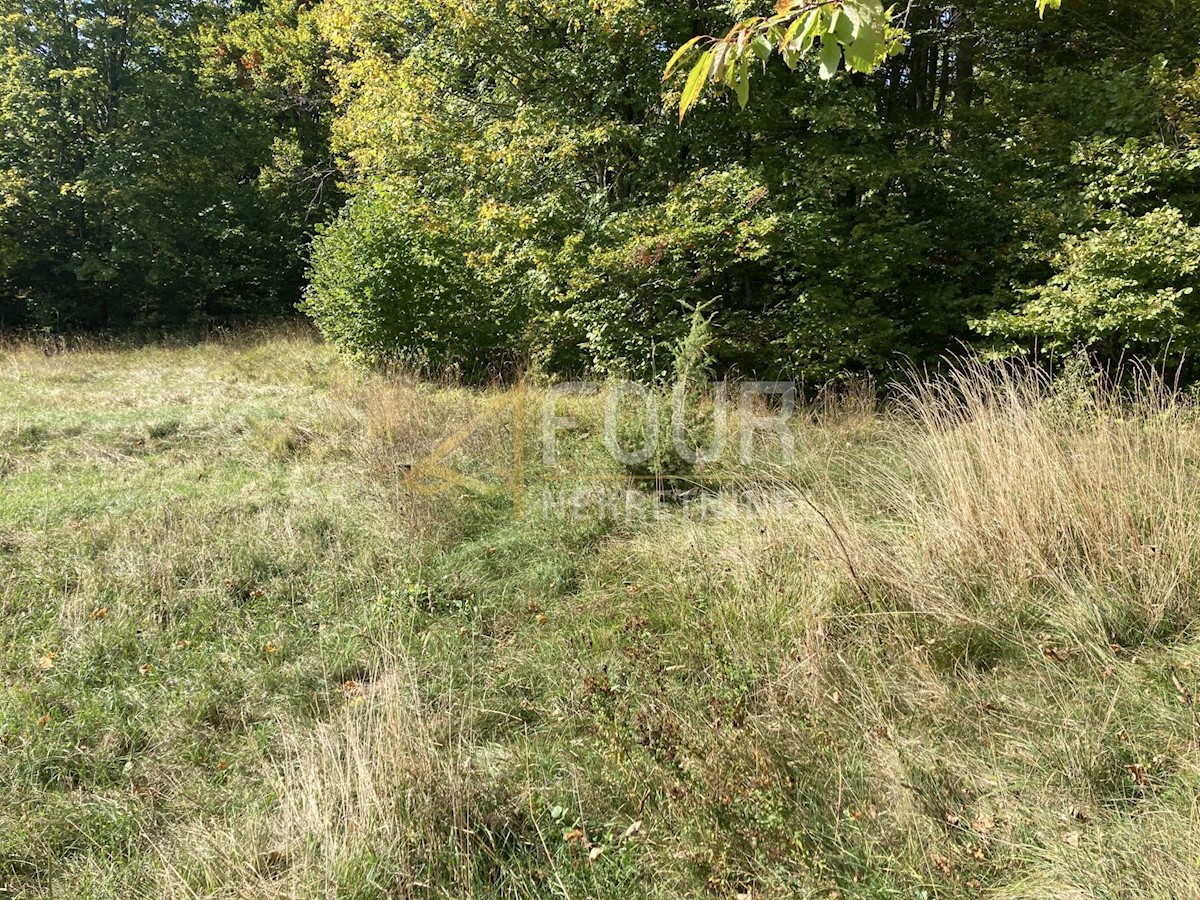 Land For sale - PRIMORSKO-GORANSKA RAVNA GORA