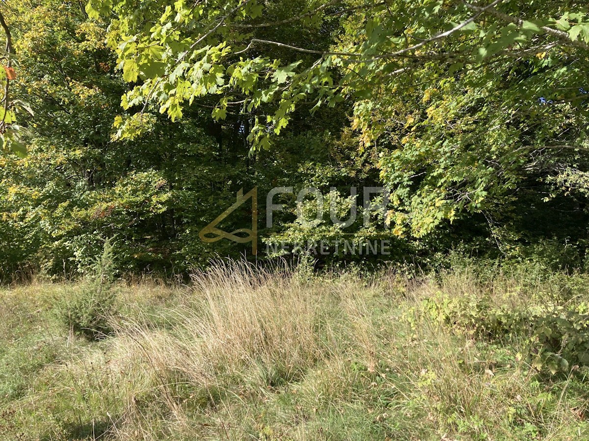 Land For sale - PRIMORSKO-GORANSKA RAVNA GORA