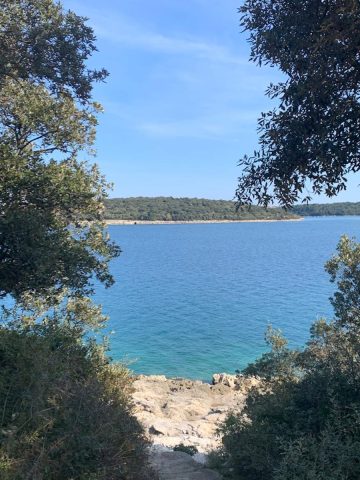 Land for sale 5843 m² – Peruški