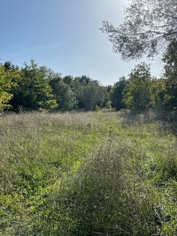Działka Na sprzedaż - Istarska Marčana - foto 5/32