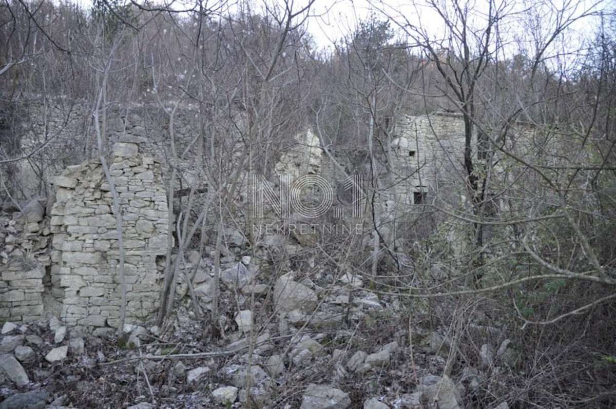 Terrain À vendre - ISTARSKA BUZET