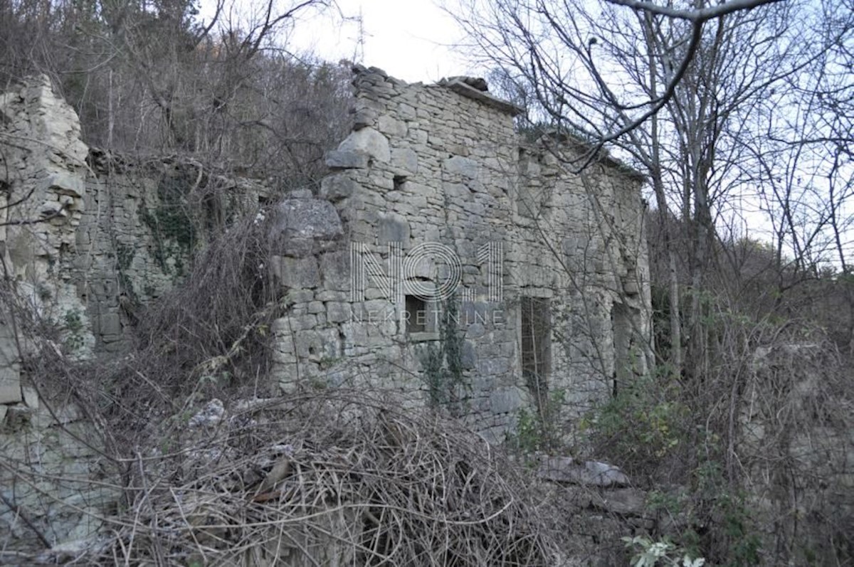 Terrain À vendre - ISTARSKA BUZET