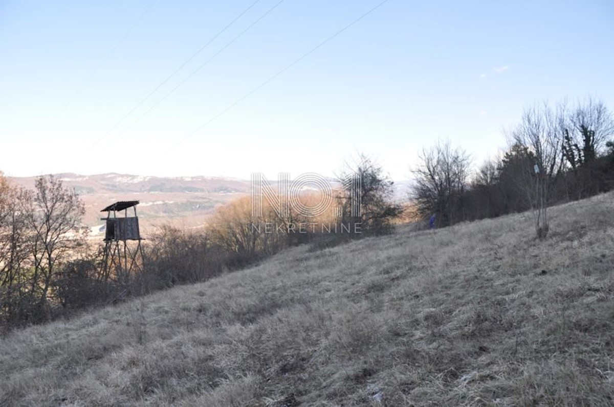 Terrain À vendre - ISTARSKA BUZET