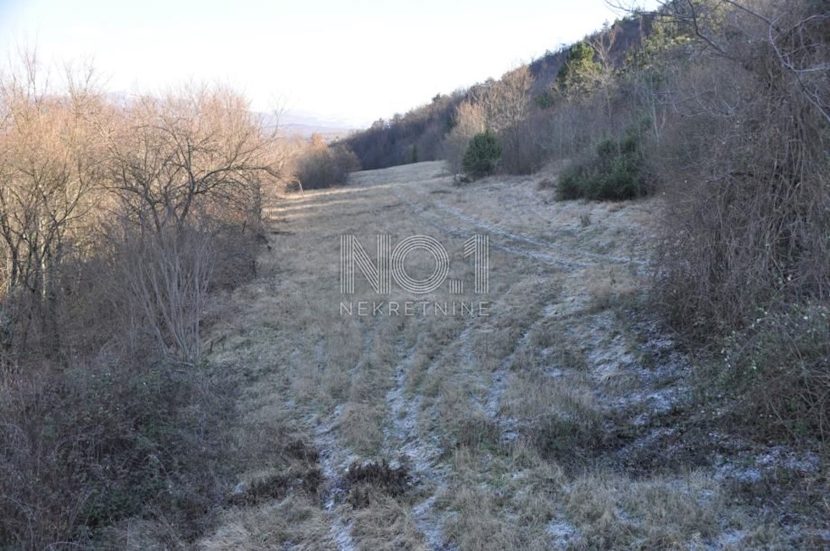 Terrain À vendre - ISTARSKA BUZET