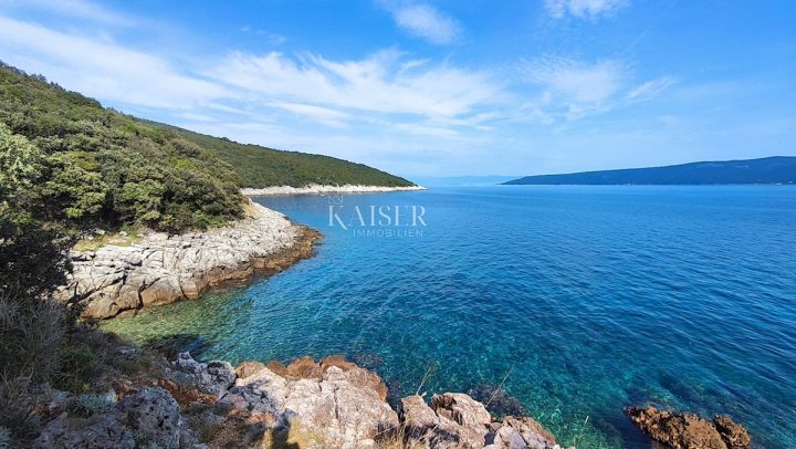 Pozemok na predaj 22000 m² – Labin