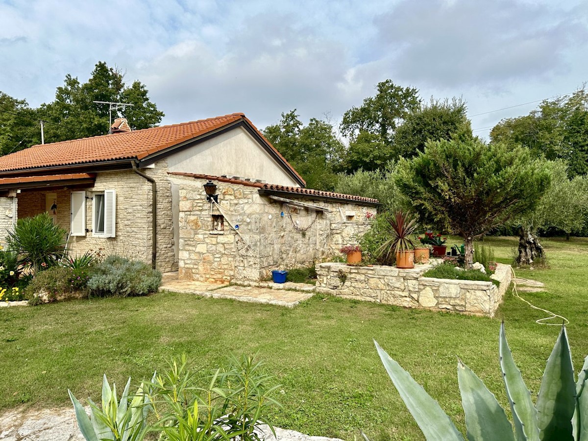 Dom Na predaj - ISTARSKA UMAG