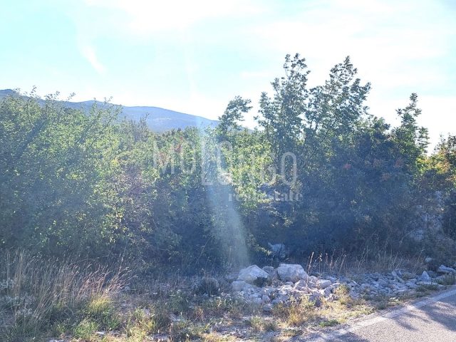 Grundstück zu verkaufen 3938 m² – Smokvica Krmpotska