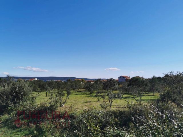 Parcela na predaj 1132 m² – Dobropoljana