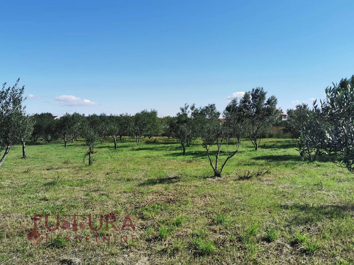 Land For sale - ZADARSKA PAŠMAN