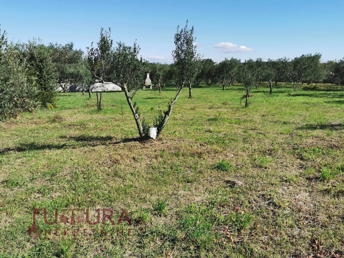 Land For sale - ZADARSKA PAŠMAN