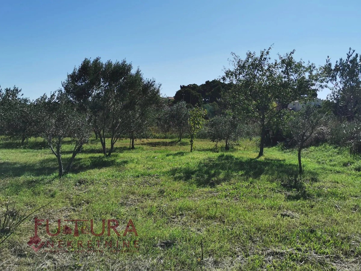 Land For sale - ZADARSKA PAŠMAN