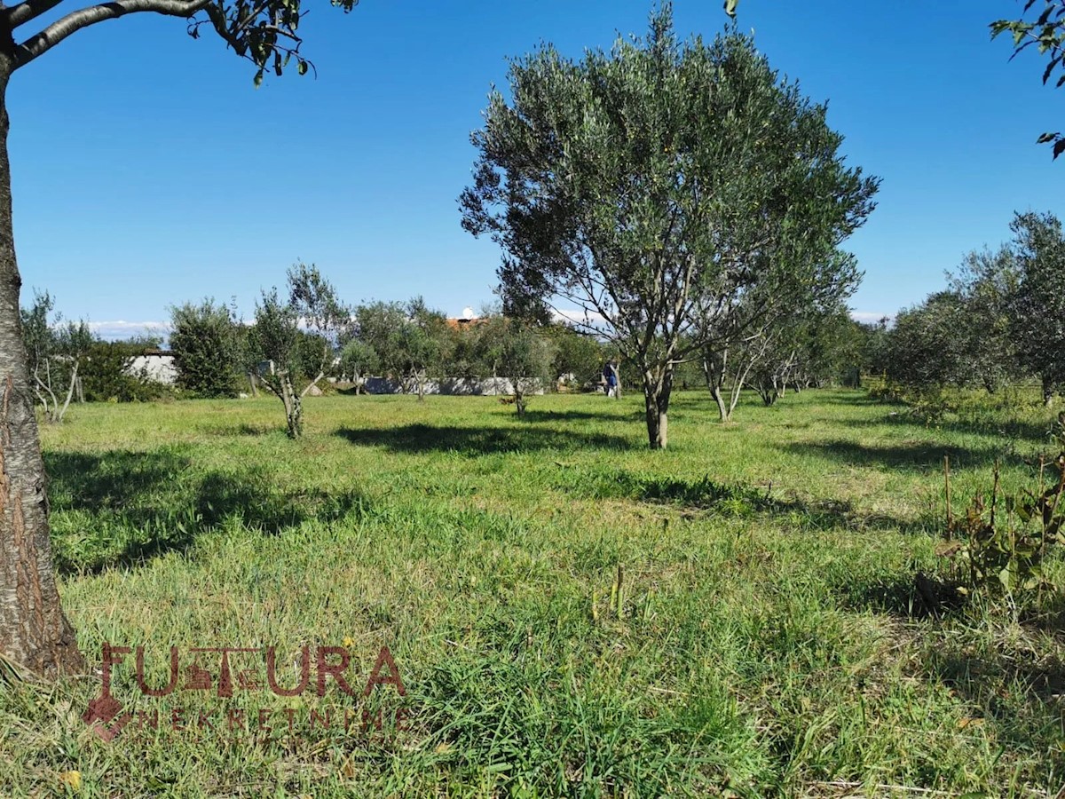 Land For sale - ZADARSKA PAŠMAN