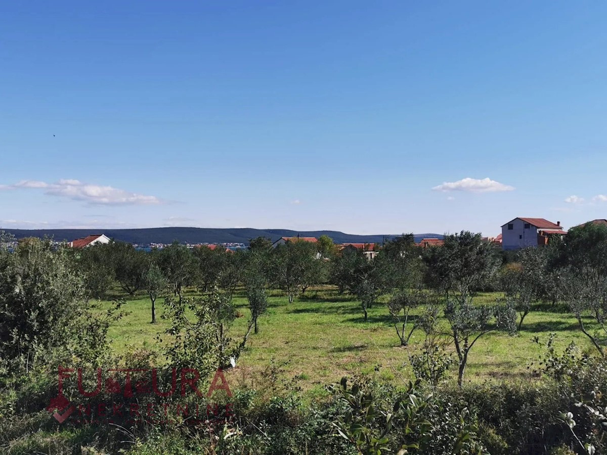 Land For sale - ZADARSKA PAŠMAN