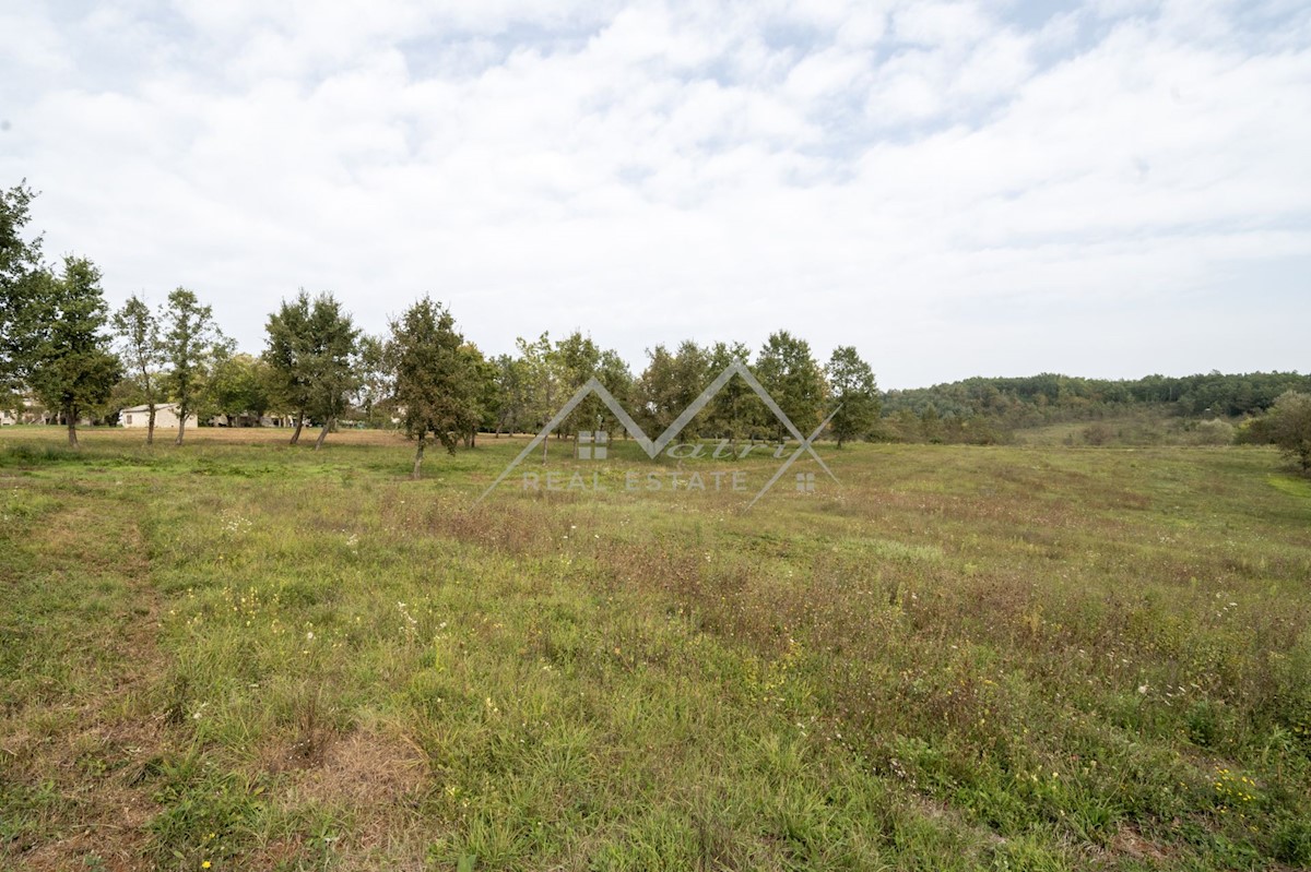 Terreno In vendita - ISTARSKA POREČ