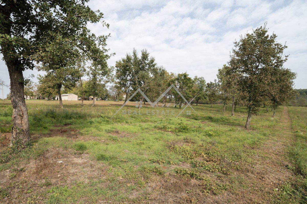 Terreno In vendita - ISTARSKA POREČ