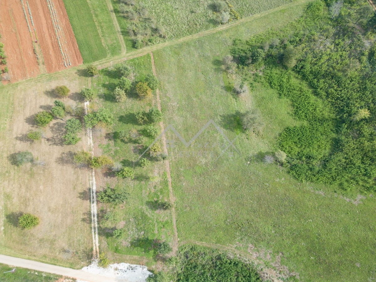 Terreno In vendita - ISTARSKA POREČ