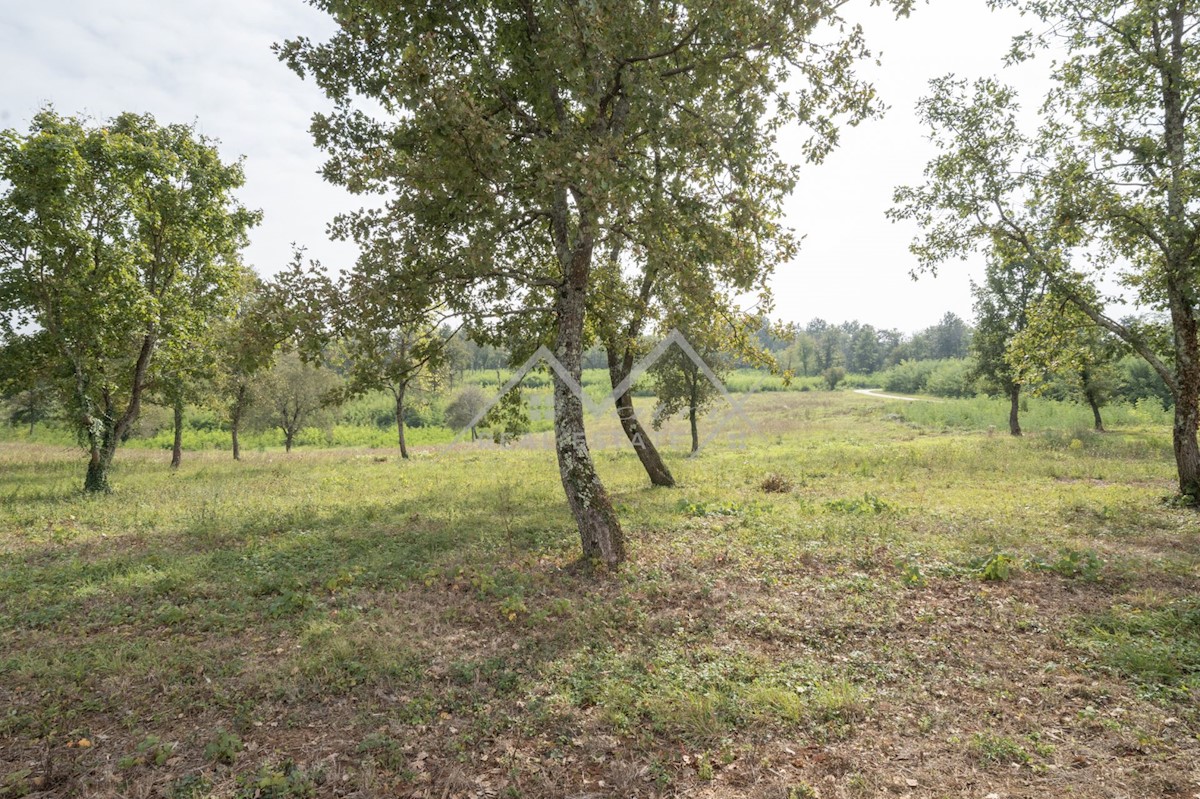Pozemek Na prodej - ISTARSKA POREČ