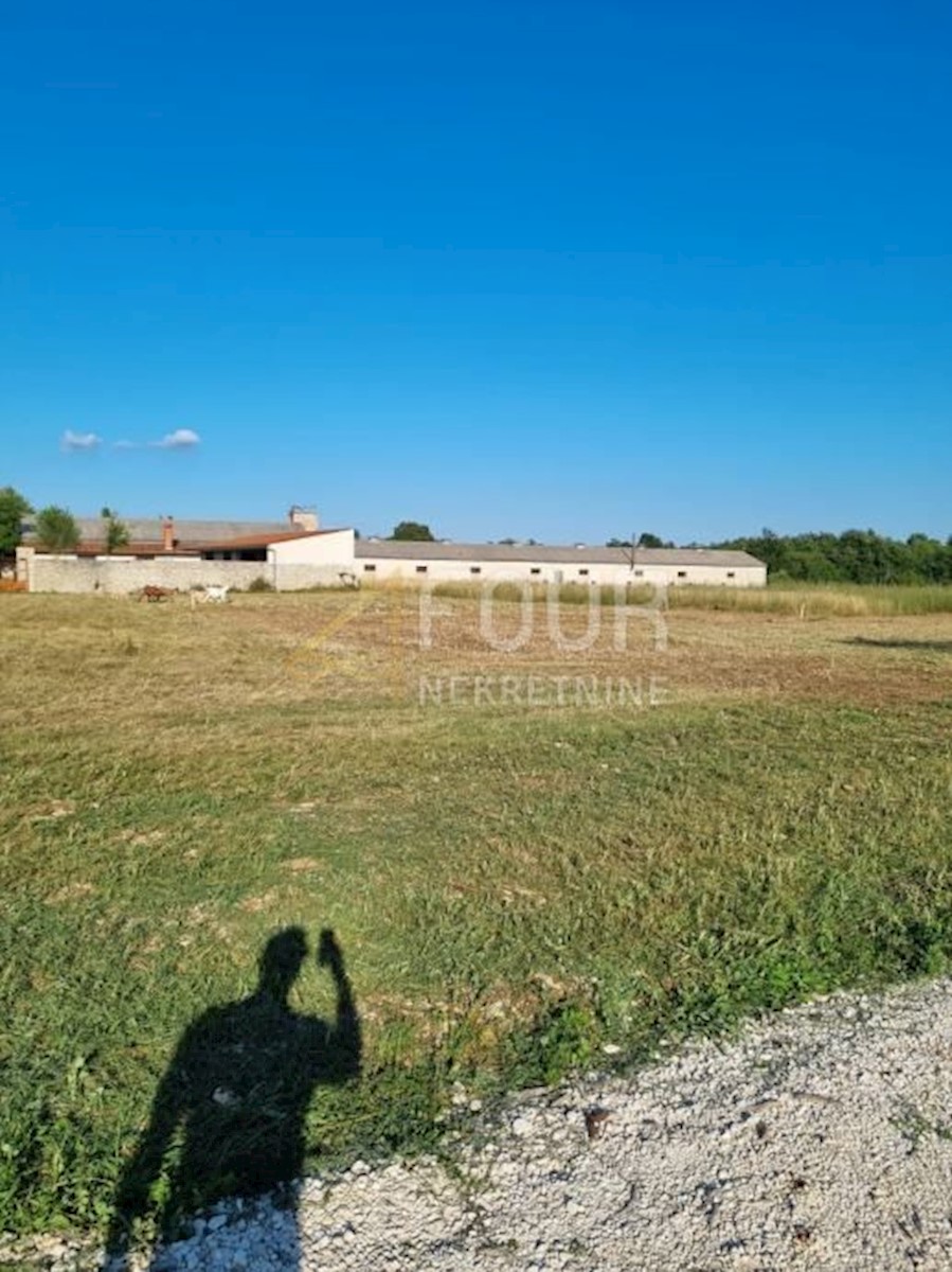 Land For sale - Istarska žminj - foto 1/2