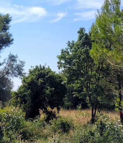 Parcela Naprodaj - Istarska Medulin - foto 3/3