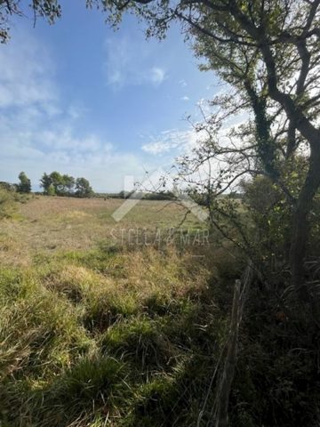 Land For sale - Zadarska Nin - foto 2/3