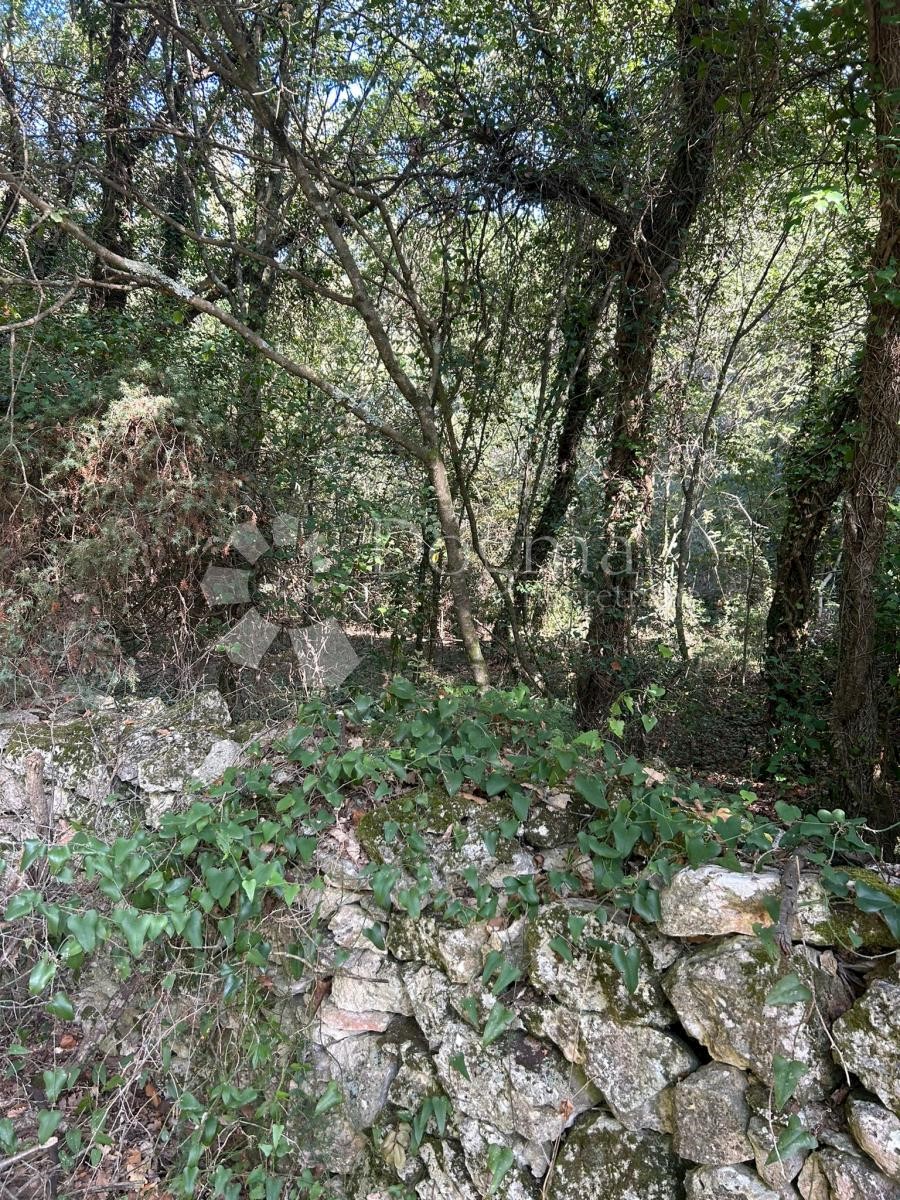 Terrain À vendre - Istarska Medulin - foto 4/4