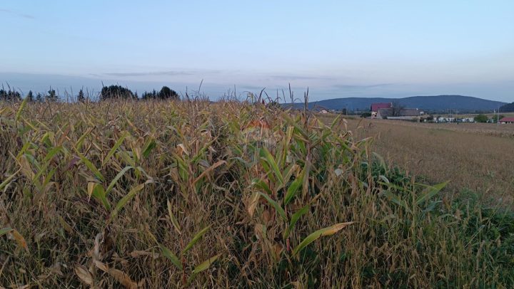 Pozemek na prodej 1306 m² – Ogulin