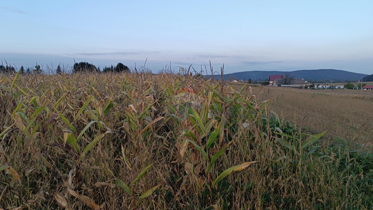 Land For sale - Karlovačka Ogulin - foto 1/1