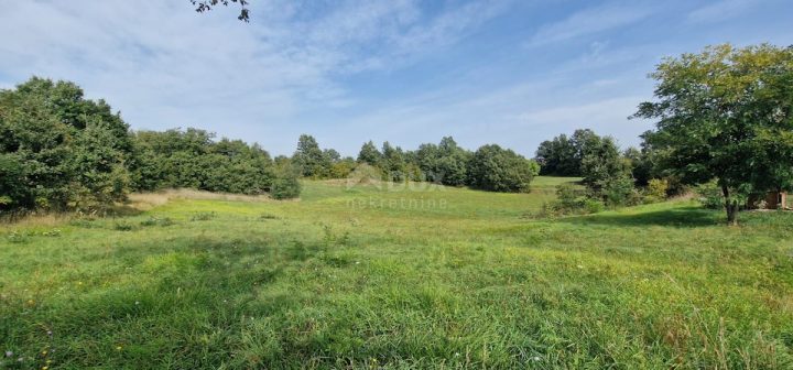 Pozemek na prodej 15136 m² – Žminj