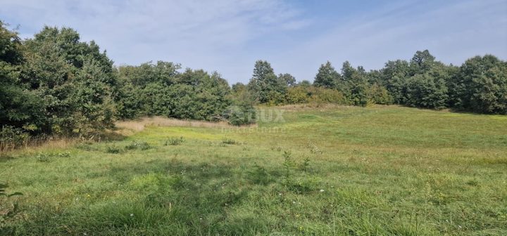 Działka Na sprzedaż - Istarska žminj - foto 2/13