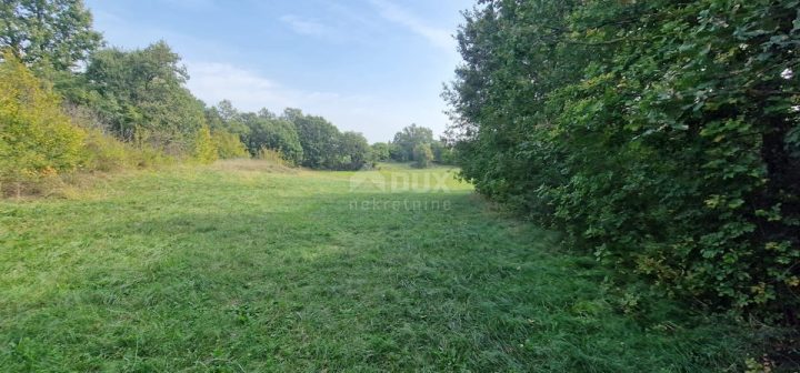 Działka Na sprzedaż - Istarska žminj - foto 5/13