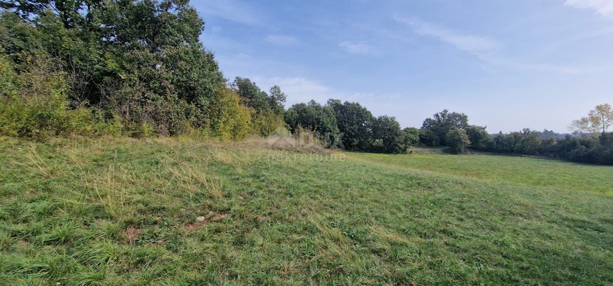 Terreno In vendita - ISTARSKA ŽMINJ