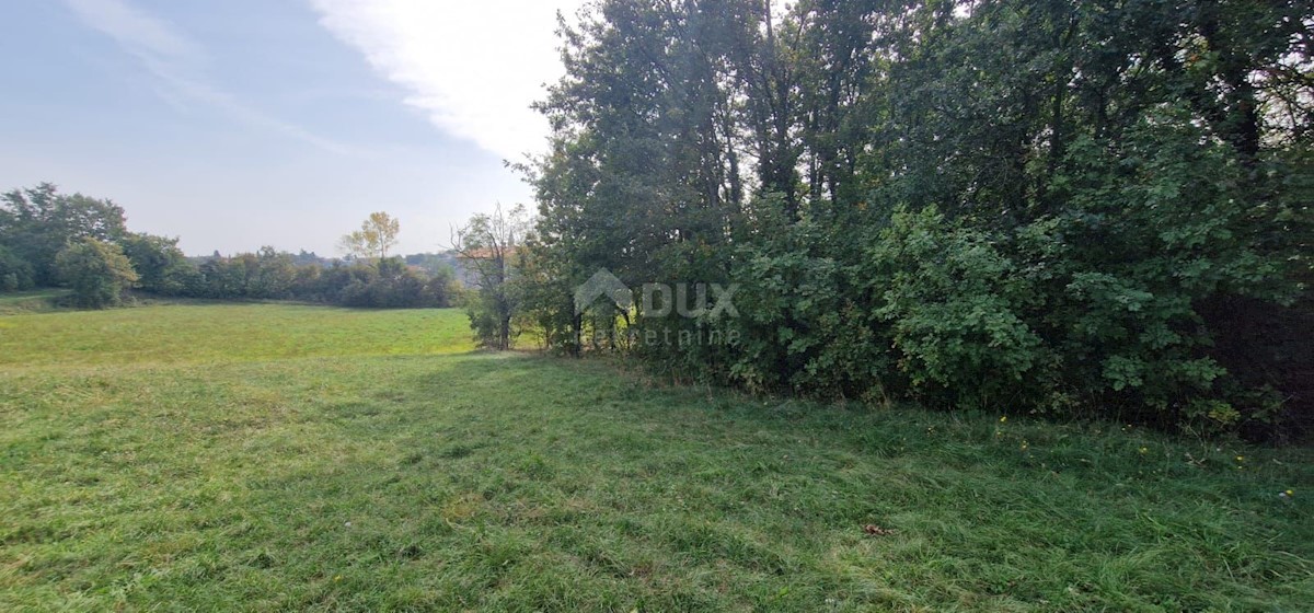 Terreno In vendita - ISTARSKA ŽMINJ