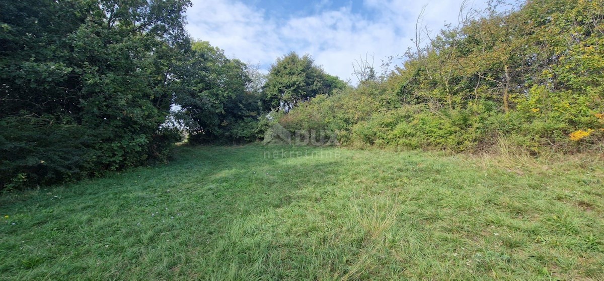 Terreno In vendita - ISTARSKA ŽMINJ