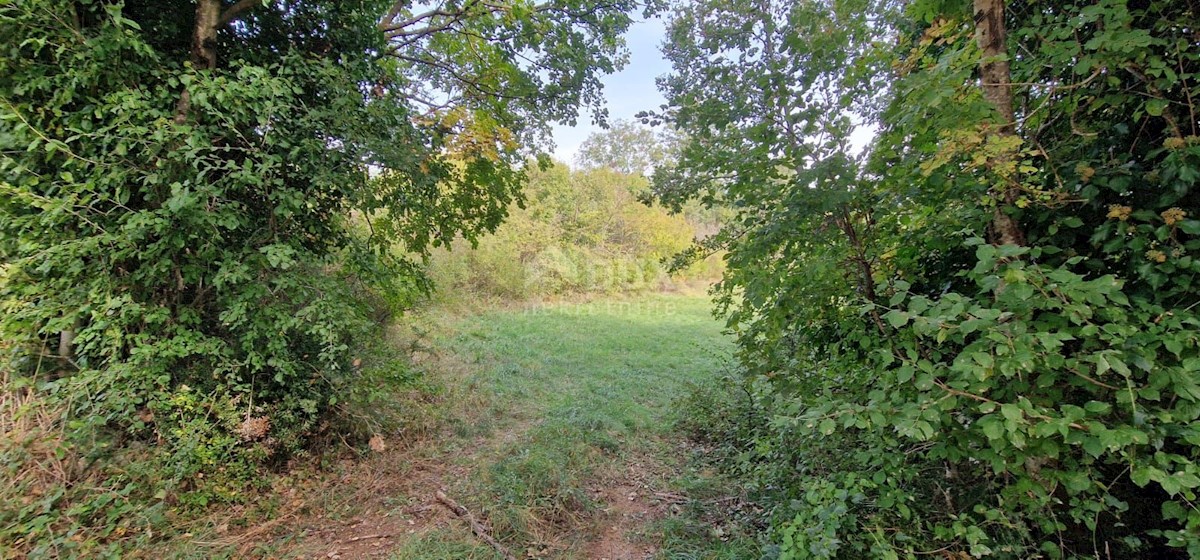Terreno In vendita - ISTARSKA ŽMINJ