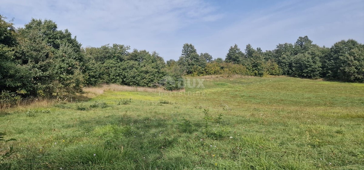 Terreno In vendita - Istarska žminj - foto 2/13