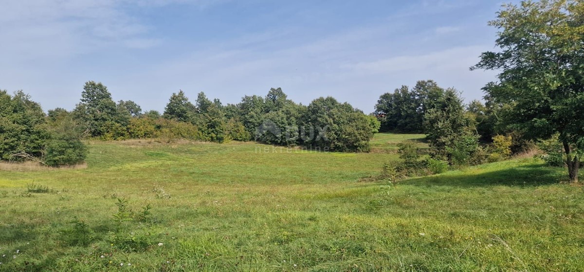 Terreno In vendita - Istarska žminj - foto 3/13