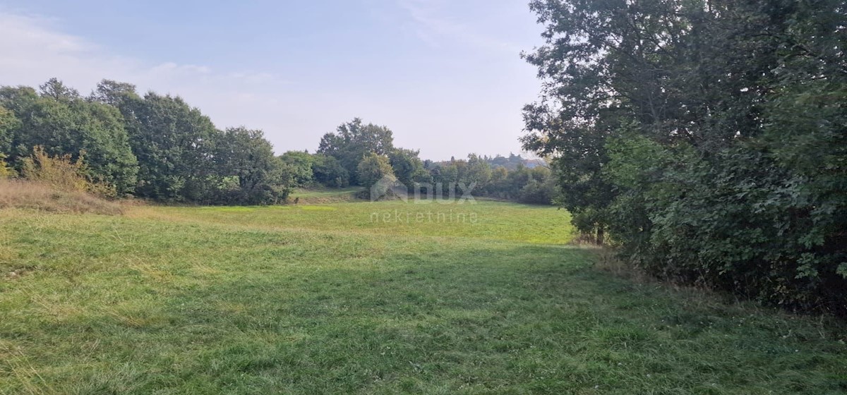 Terreno In vendita - ISTARSKA ŽMINJ